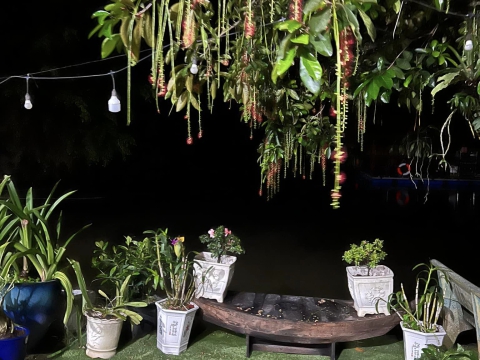 ALBUM KHÔNG GIAN QUÁN