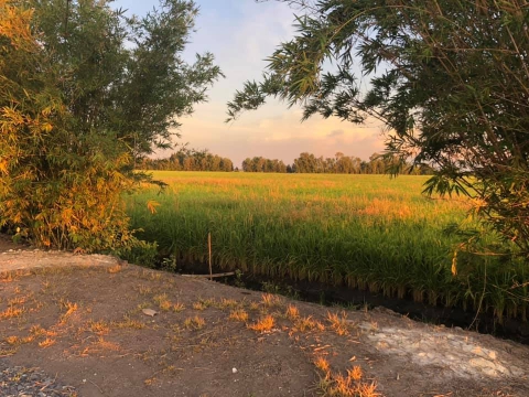 ALBUM KHÔNG GIAN QUÁN